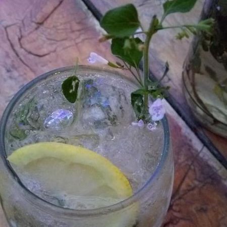 亚坎托 卡罗拉纳宾馆酒店 外观 照片